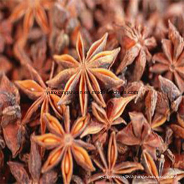 Star Anise Bonne qualité